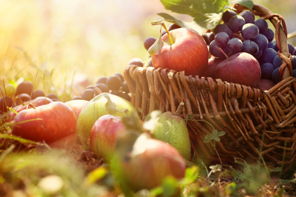 fruit in summer grass