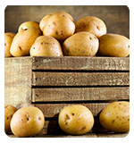 potatoSquare