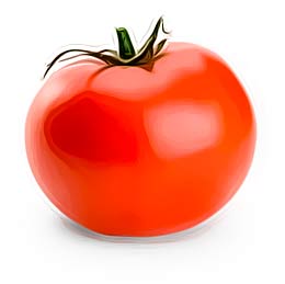 tomato